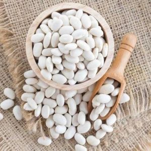 Great Northern Beans